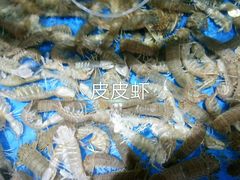 -蓝珊甄选海鲜自助·火锅大排档(近阿那亚店)