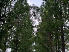 -嘉北郊野公园