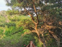 -燕塞湖鸟语林景区