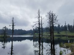 -瓦屋山景区