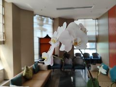 -南堂馆·新川菜(天府三街店)