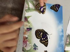 -上海昆虫博物馆