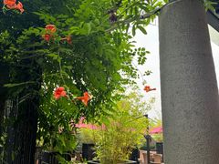 -青藤茶馆(凤起路店)