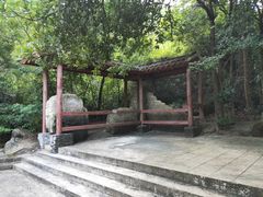 -石溪公园