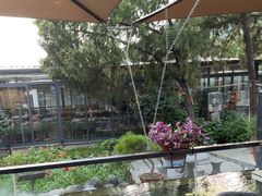 -蘇河湾·新鲁菜·泰山宴(泰山店)