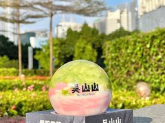 -吴山山·椰子酸奶(天河南店)