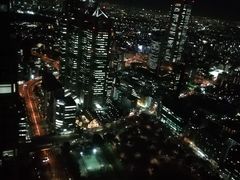 -东京都厅舍
