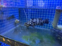 -鑫鸿达·海鲜闽菜热炒小馆(中山路店)