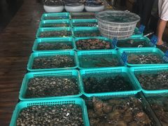景观位-浩运·海鲜青岛菜·海胆水饺(石老人店)