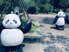 -都江堰中华大熊猫苑