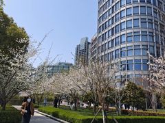 -北外滩滨江绿地