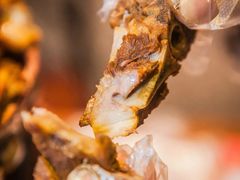 -陶老爷城一锅羊蝎子(西四路店)