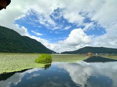 -腾冲北海湿地