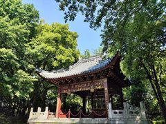 -汇龙潭