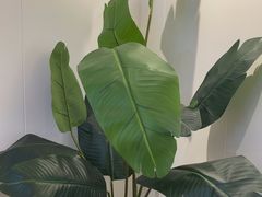 -山也·私厨(岳麓店)