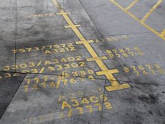 -约翰·菲茨杰拉德·肯尼迪国际机场