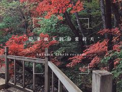 -关门山森林公园