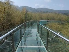 -陶祖圣境风景区