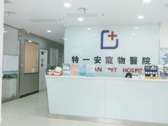 -特一安24小时宠物医院·骨科·中兽医