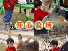 -盈香心动乐园