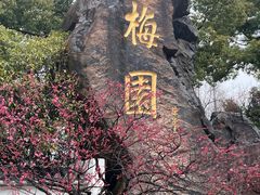 -无锡梅园公园
