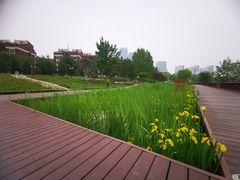 -西海子公园