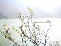 -羚羊峡古栈道森林公园