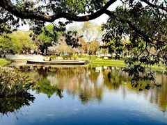 -文华公园(禅城区)