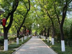-渭滨公园