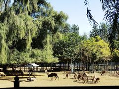 -北京麋鹿生态实验中心