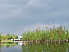 -白鹭湾湿地公园