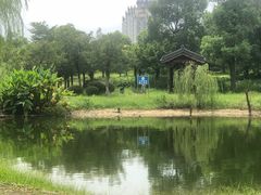 -飞来湖湿地公园