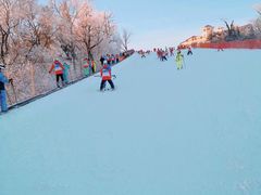 -亚布力新体委滑雪场