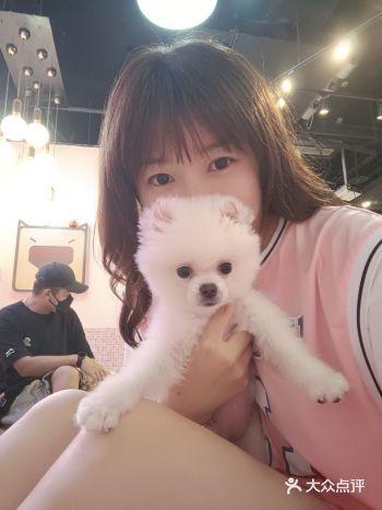 Takara 超萌宠物互动馆