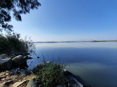 -漩门湾国家湿地公园