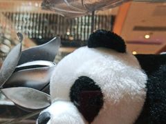 -红辣椒·川菜·火锅(张杨路店)