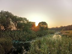 -苏州太湖湖滨国家湿地公园
