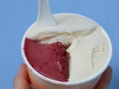 -Dip in Gelato(富民路店)