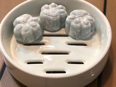 -船歌·鱼水饺青岛菜(奥帆中心店)