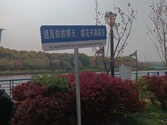-高东镇樱花园