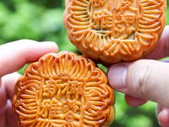 -新雅粤菜馆(南京东路店)