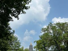 -红梅公园
