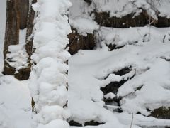 -雪谷