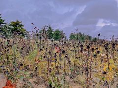 -汉长安城未央宫国家考古遗址公园