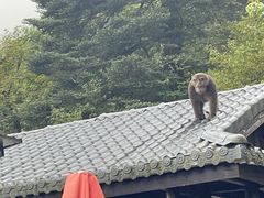 -峨眉山风景名胜区