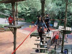 -梦幻奥陶纪景区