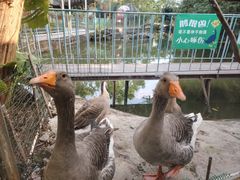 -一品烧农庄·佛山本地特色菜