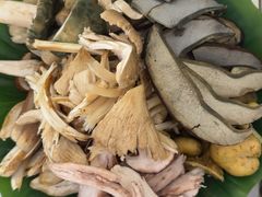 -野菌园·野生菌火锅首创第一家(关兴路总店)