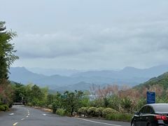 -东天目山风景区