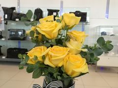 -三圣花乡旅游区